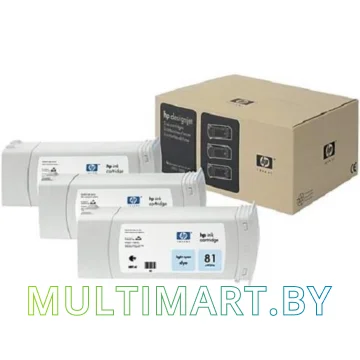 Набор картриджей HP 81 (C5070A)